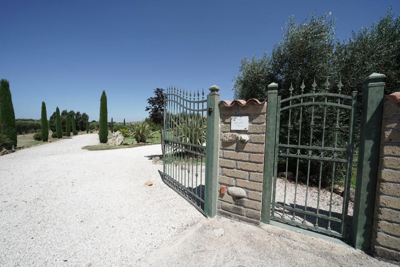 Casa Degli Ulivi Bed & Breakfast Cerveteri Bagian luar foto