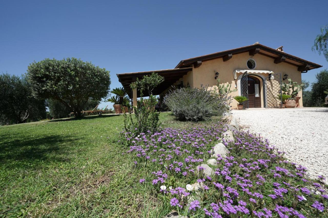 Casa Degli Ulivi Bed & Breakfast Cerveteri Bagian luar foto